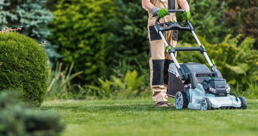 Professional Lawn Mowing Service